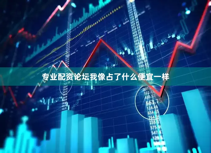 专业配资论坛我像占了什么便宜一样