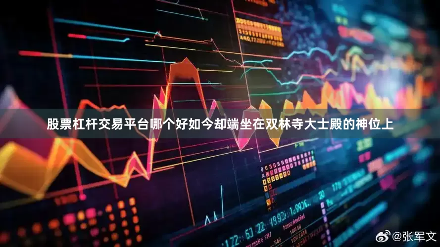 股票杠杆交易平台哪个好如今却端坐在双林寺大士殿的神位上