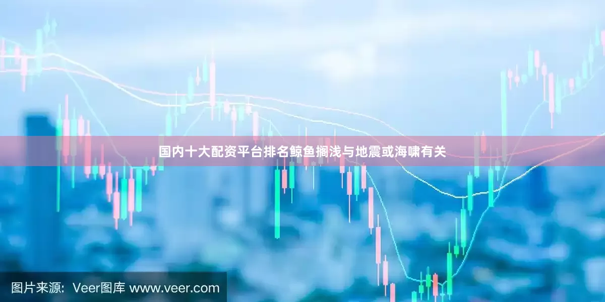 国内十大配资平台排名鲸鱼搁浅与地震或海啸有关