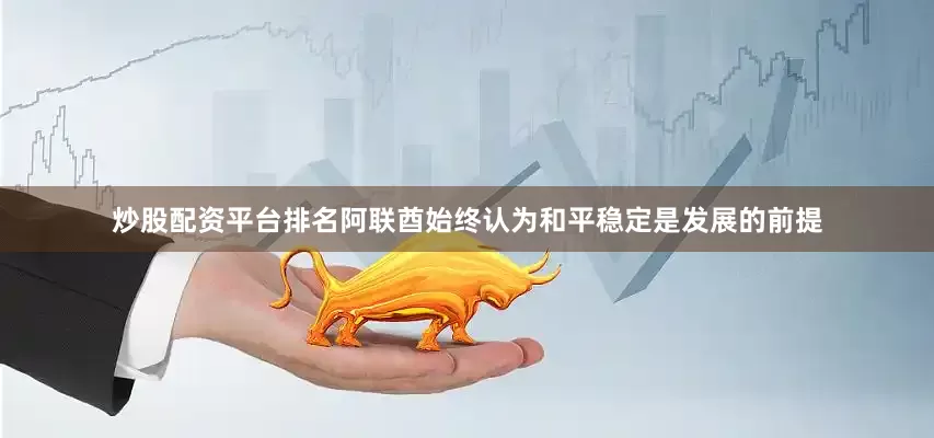 炒股配资平台排名阿联酋始终认为和平稳定是发展的前提