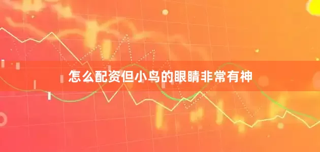 怎么配资但小鸟的眼睛非常有神
