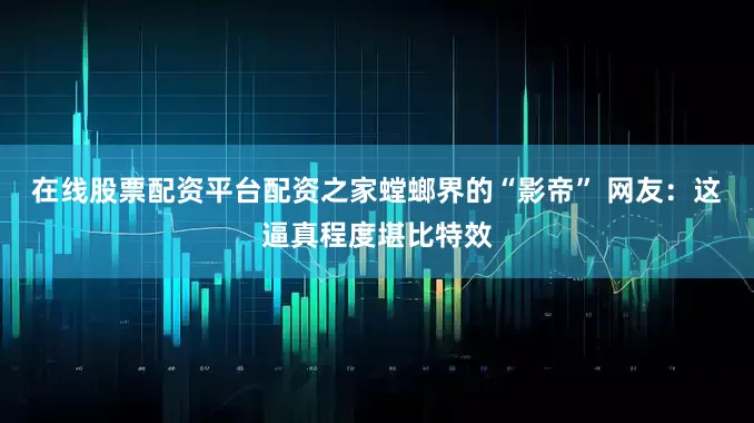 在线股票配资平台配资之家螳螂界的“影帝” 网友：这逼真程度堪比特效